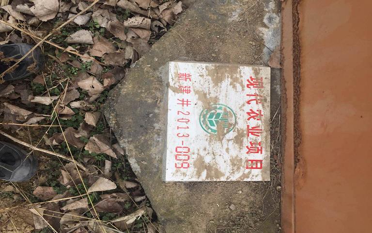 ����ʡ��ƽ�����������������ǿ������