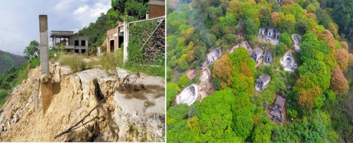 �㶫����ɽ����ɭ�ֹ�԰��25�꾭Ӫ������������������